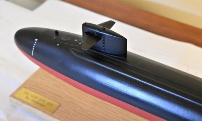 GATO 09.JPG
