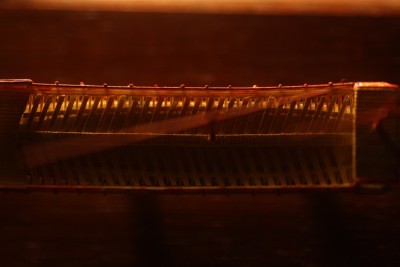 VGG5194 - 20 (1).jpg