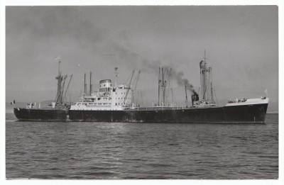M.V. Tessa (i), � A. Duncan.