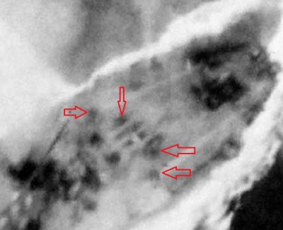 Rear AA.jpg