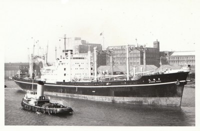 M.V. Hikone Maru (i), � unknown.