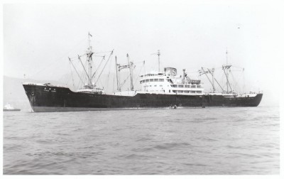 M.V. Tosho Maru (iv), � unknown; in Shinwa Kaiun Kaisha livery.