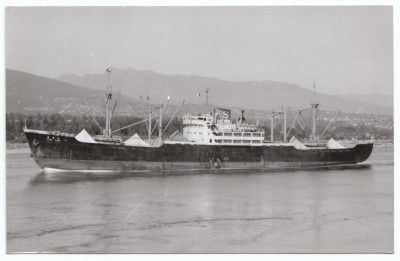 M.V. Tosho Maru (v), � A. Duncan; in Shinwa Kaiun Kaisha livery.