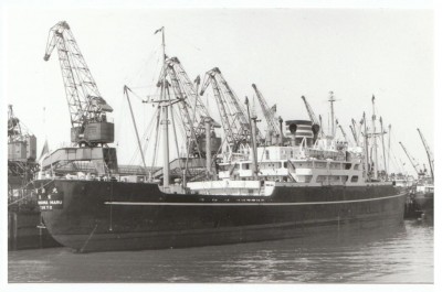 M.V. Yokohama Maru (iv), � unknown; in Nippon Yusen Kaisha livery.