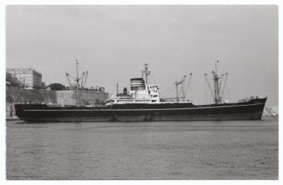 M.V. Hikoshima Maru (iv), � A. Duncan; in Nippon Yusen Kaisha livery.