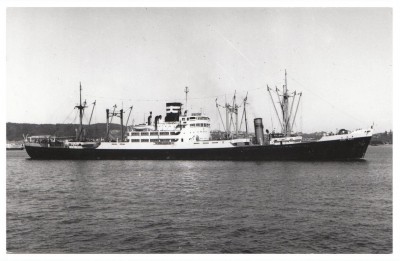 M.V. Kokei Maru (v), � Tom Rayner; in Osaka Shosen Kaisha livery.