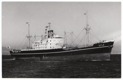 M.V. Misaki Maru (iv), � Tom Rayner; in Nippon Yusen Kaisha livery.