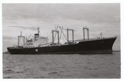 M.V. Izumo Maru (iii), � A. Duncan; in a later version of the Nippon Yusen Kaisha livery without the white strake along the hull.