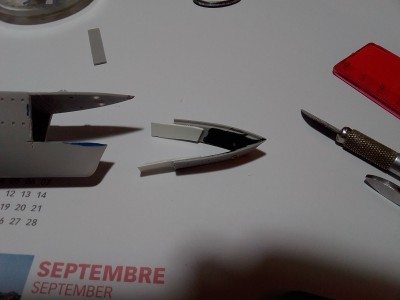 IMG_20220126_163413.jpg
