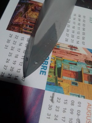 IMG_20220127_122423.jpg