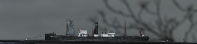 silhouet3.JPG