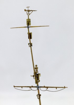20210310_EOS_0122_cr.jpg