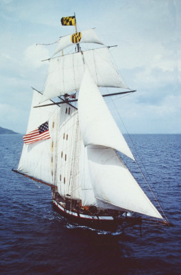 Pride of Baltimore in the Pacific 1982