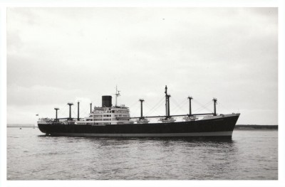 M.V. Flintshire 3; � Glen Line Ltd.