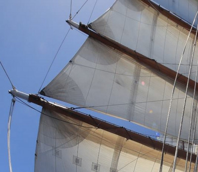 zzzzzzzsails backlit.jpg