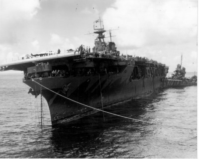 Hornet_with_chain-744.jpg