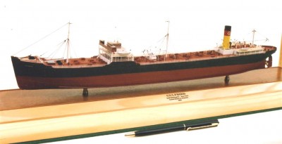 Gulfbird.JPG