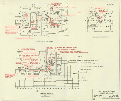 Plate IX