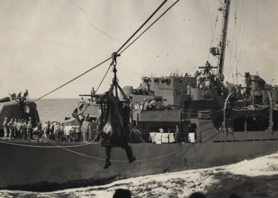 CVE-83.jpg