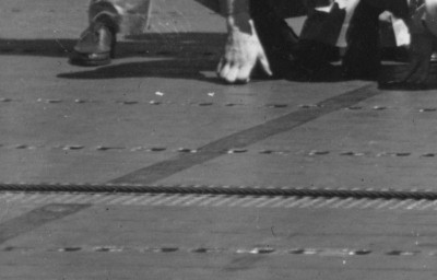 1942-06-11-Hornet-stripecrop.jpg