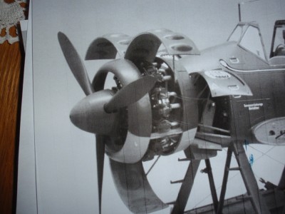 i think i wil try to show the radial engine with the cowls up
