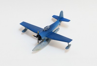 seahawk_A9A2267.jpg