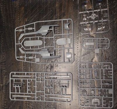 Larsen 9.jpg